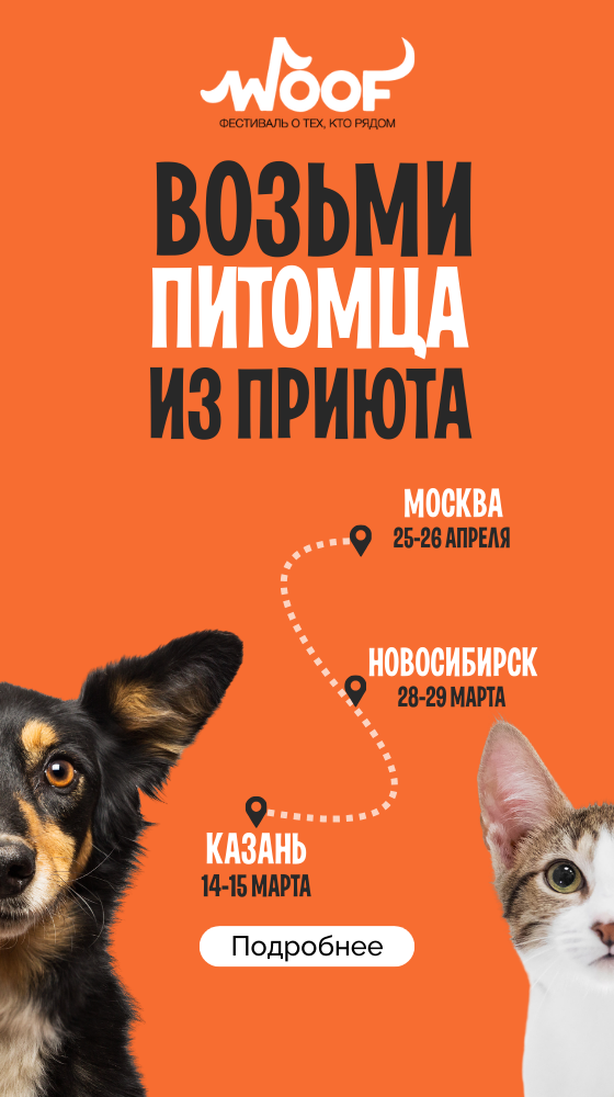 Фестиваль WOOF