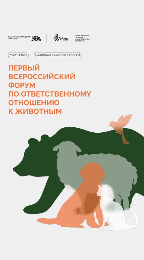 Форум