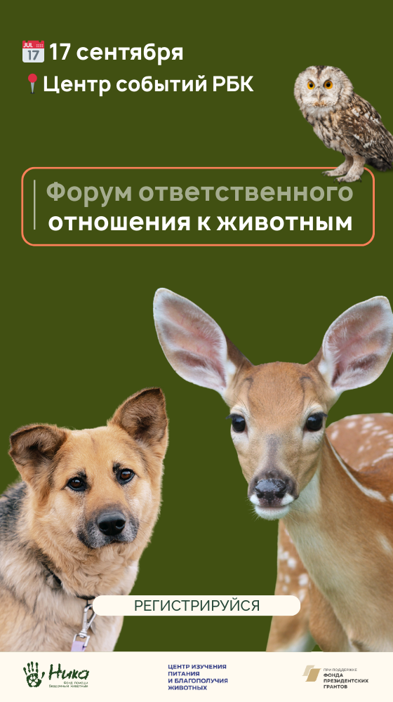 Конференция