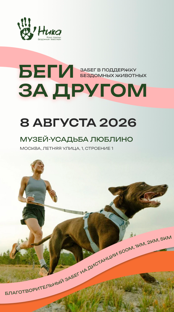 Беги за другом