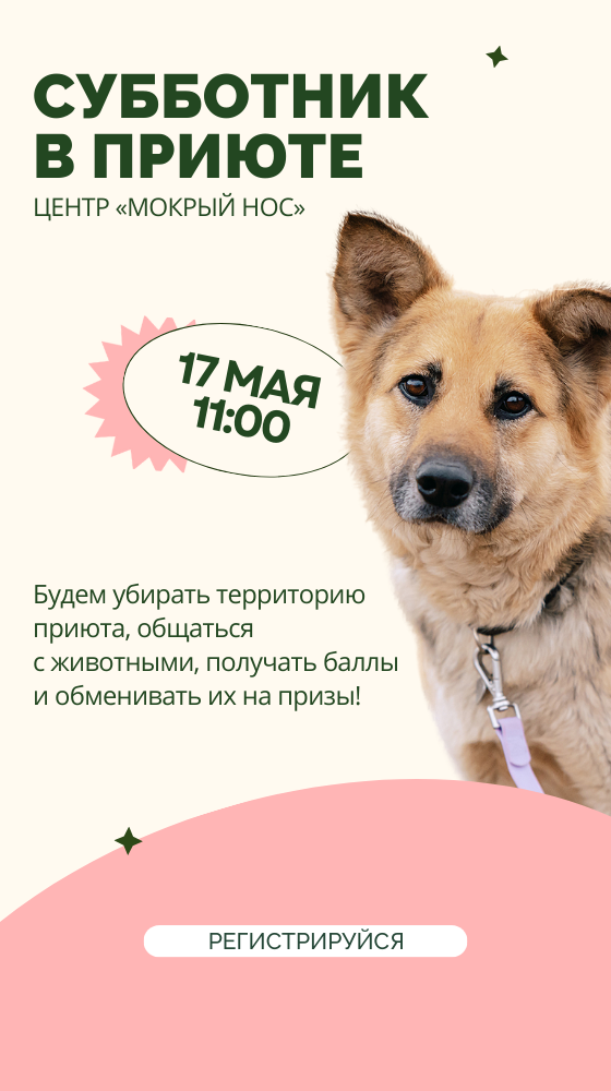 Выставки