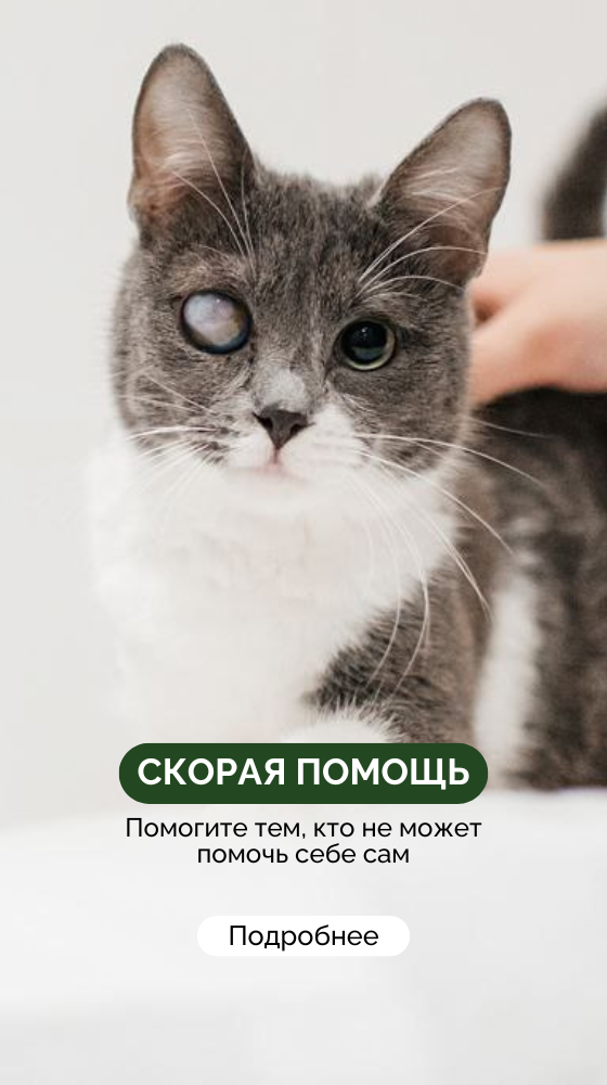 Скорая помощь