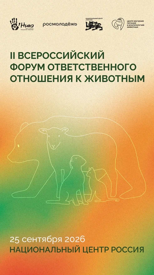 форум 