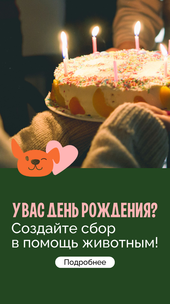 Хороший повод