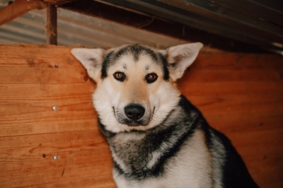 Север