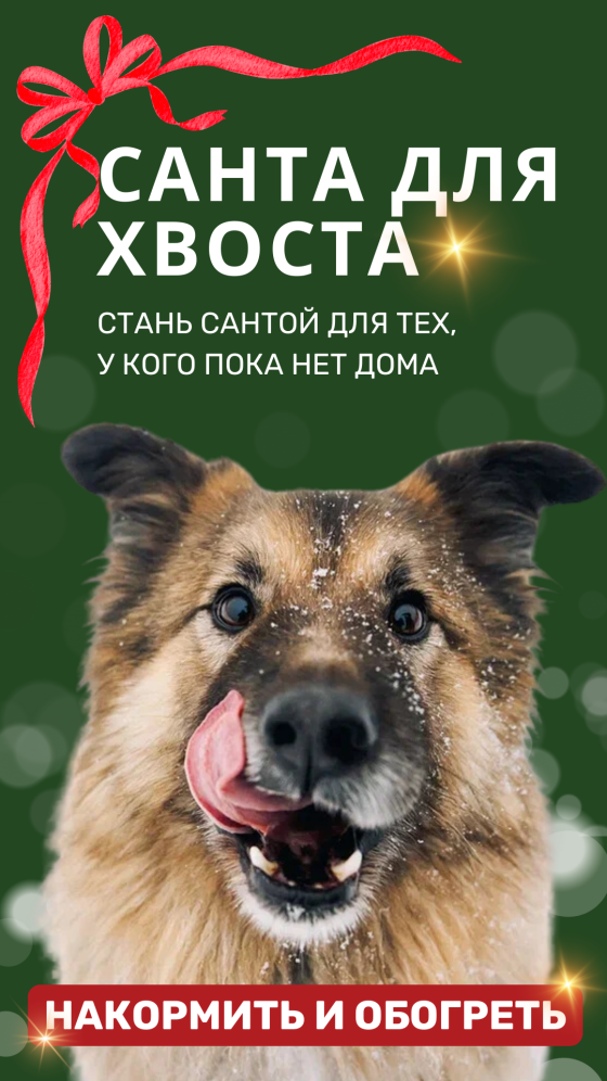 Санта для хвоста