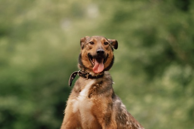 Кларк