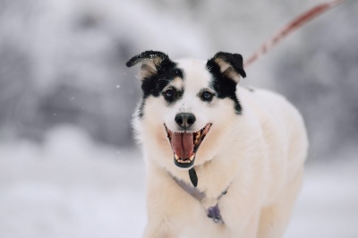 Марвел