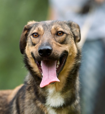 Кларк