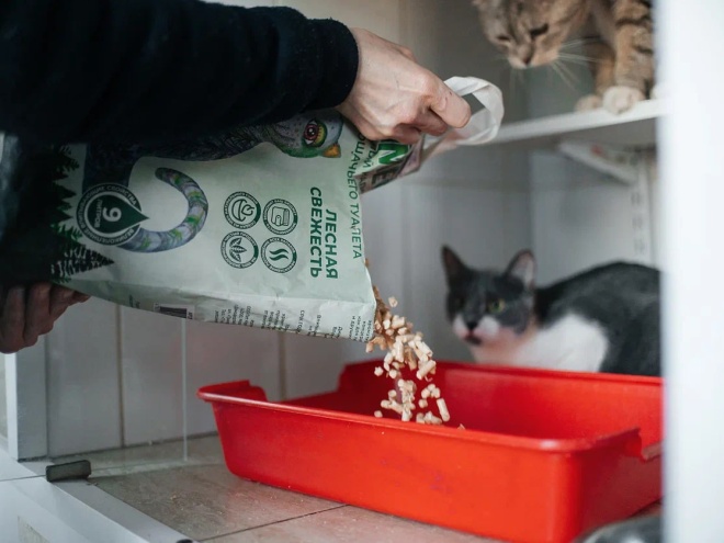 Срочно нужны наполнители для кошачьего туалета