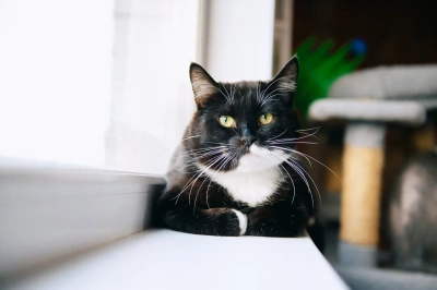 Милан