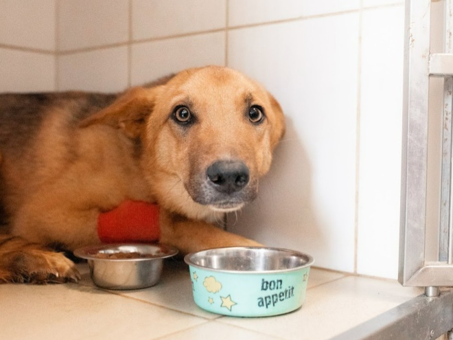 Помогите оплатить аренду склада: сентябрь/октябрь