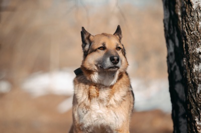 Даня