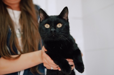 Космос